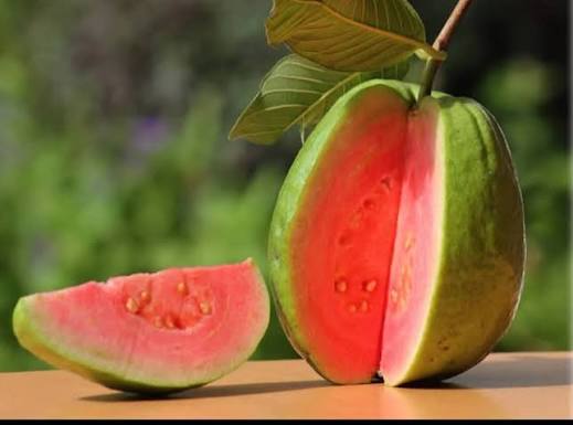 horana rathu guava