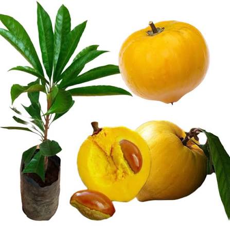 lawalu