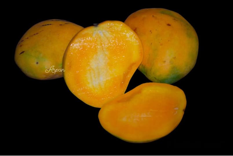 petti amba