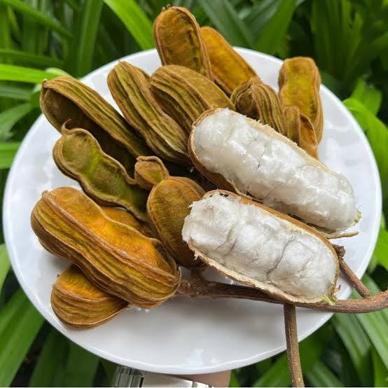 Ice Cream Bean (Inga edulis)