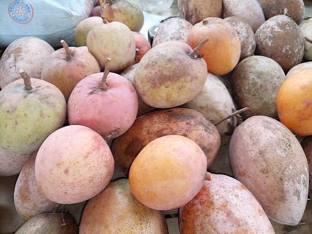 Kent Mango