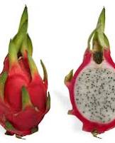 Dragon Fruit