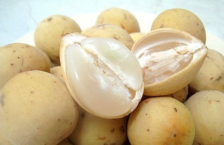 Gaduguda / Lansones / Rambai